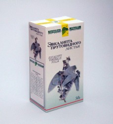 Эвкалипта лист